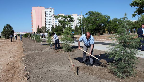 Высадка аллеи героев спорта Динамовский лес