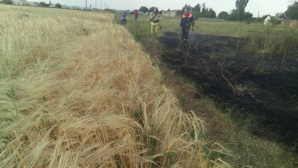 Крымские огнеборцы потушили пожар в селе Акимовка, который чуть было не перекинулся на поле ячменя