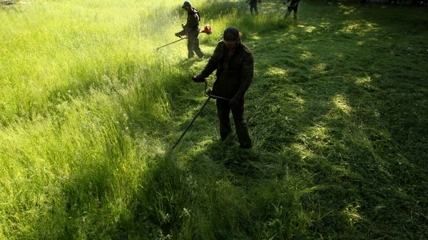 Благоустройство территории