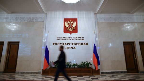В здании Государственной Думы РФ. Архивное фото