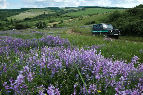 Повседневная жизнь