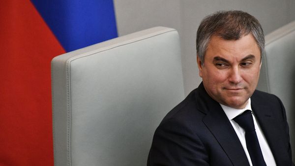 Председатель Государственной Думы РФ Вячеслав Володин. Архивное фото
