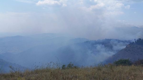 Лесной пожар в районе села Громовка под Судаком