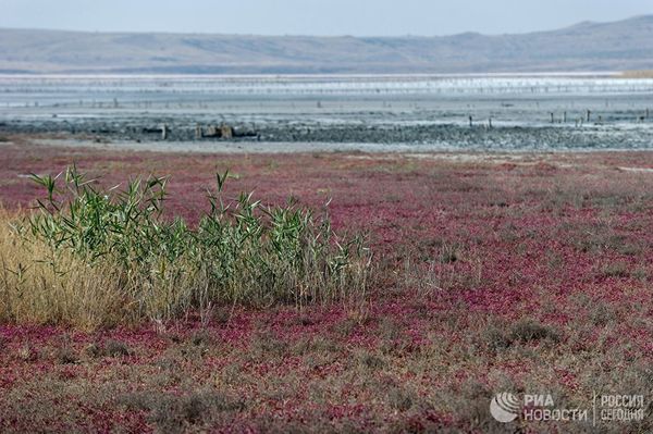 Чокракское озеро на Керченском полуострове в Крыму