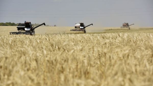 Уборка зерновых в Белогорском районе Крыма Уборка зерновых в Белогорском районе Крыма
