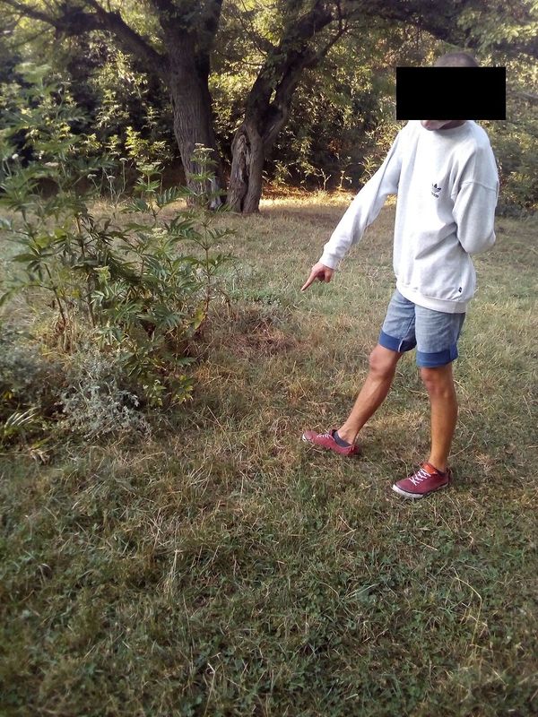 В Кировском районе правоохранители нашли схрон наркотиков в частном домовладении 19-летнего крымчанина