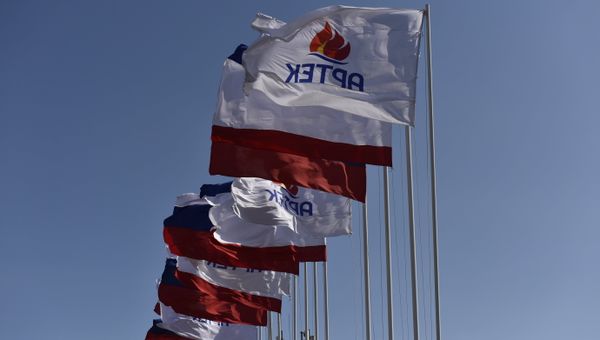 Флаги МДЦ Артек