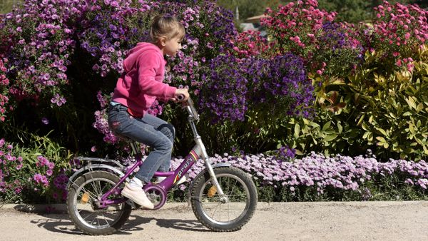 Девочка катается на велосипеде в Ботаническом саду Крымского федерального университета им.Вернадского в Симферополе