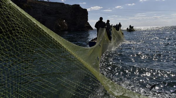 Рыбаки во время ловли рыбы сетями на мысе Тарханкут. Большой Атлеш