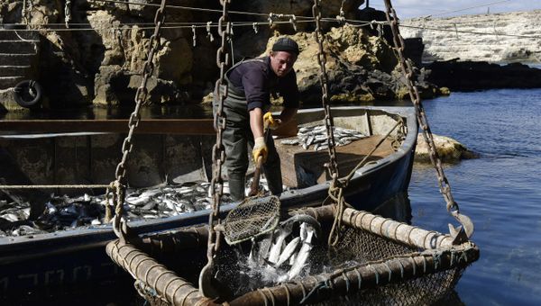 Рыбак во время ловли рыбы в Крыму Рыбак во время ловли рыбы в Крыму