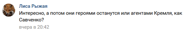 Скриншот одного из комментариев в соцсети ВКонтакте Скриншот одного из комментариев в соцсети ВКонтакте