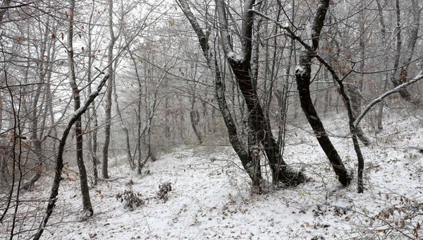 На Чатыр-Даге выпал первый снег