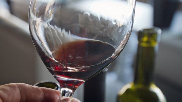 Винный фестиваль In Vino Veritas в Коктебеле Винный фестиваль In Vino Veritas в Коктебеле