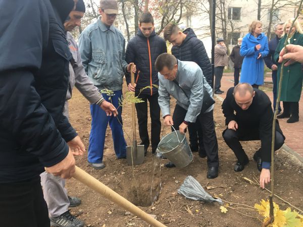 Высадка деревьев в открытом после благоустройства сквере в Новофедоровке Сакского района
