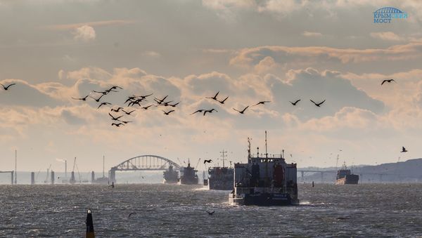 Наблюдение за экосистемой в зоне строительства моста через Керченский пролив