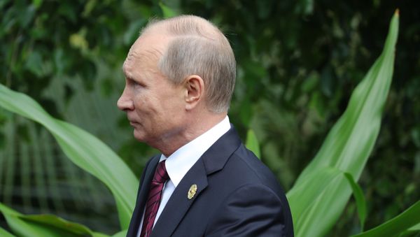 Президент РФ Владимир Путин перед совместным фотографированием лидеров экономик форума Азиатско-Тихоокеанского экономического сотрудничества (АТЭС).11 ноября 2017