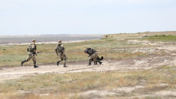 Крымские пограничники задержали 28-летнего гражданина Украины в пункте пропуска Джанкой
