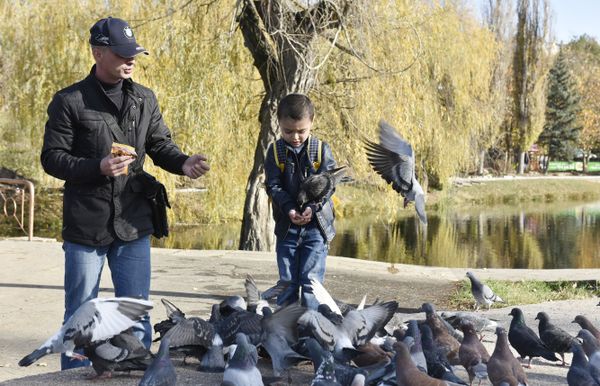 Мужчина и мальчик кормят голубей в парке им. Гагарина в Симферополе