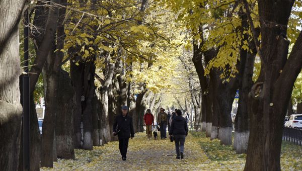 Люди в парке им. Гагарина в Симферополе. Осень
