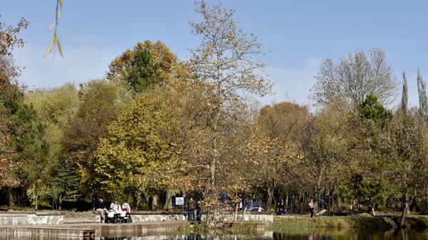 Осень в Симферополе. Парк им. Гагарина