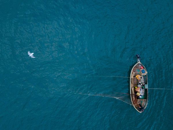 Рыбаки во время прибрежного лова черноморской рыбы в Севастополе