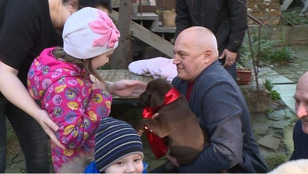 Лабрадор в подарок на Новый год девочке Наде от президента