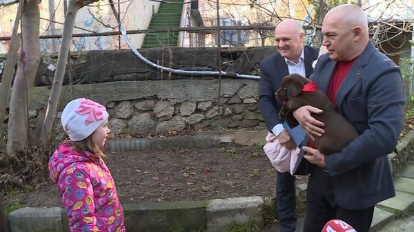  Юной крымчанке Наде, страдающей аутизмом, подарили щенка лабрадора по поручению президента РФ Владимира Путина