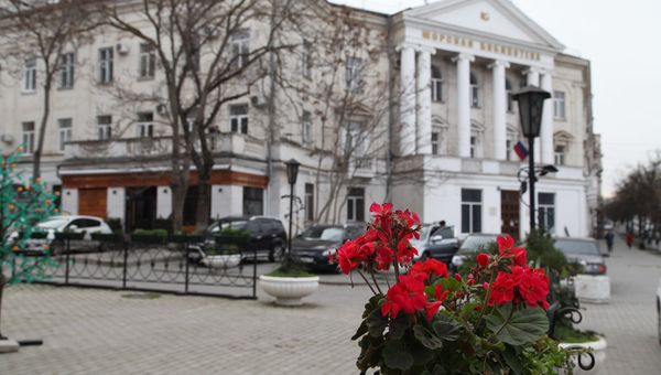 Садовая герань в центре Севастополя, 11 января 2018