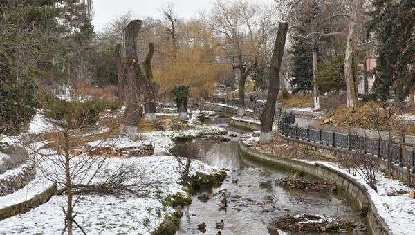 Спиленные деревья вдоль реки Салгир в Симферополе