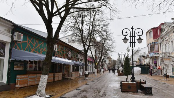 Деревья на ул. Пушкина в Симферополе
