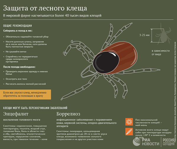 Защита от лесного клеща