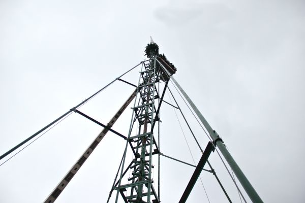 В Симферополе разбирают главную елку города. 29 января 2018 В Симферополе разбирают главную елку города. 29 января 2018