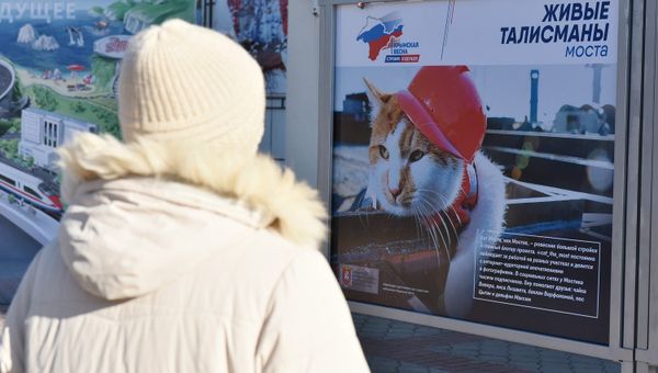 Выставка Крымский мост – Стройка века на площади Ленина в Симферополе