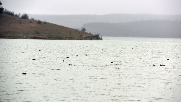 Симферопольское водохранилище