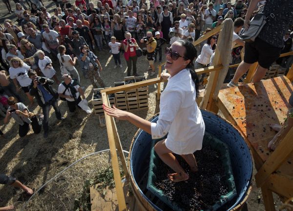 Фестиваль молодого вина Wine Fest в Балаклаве