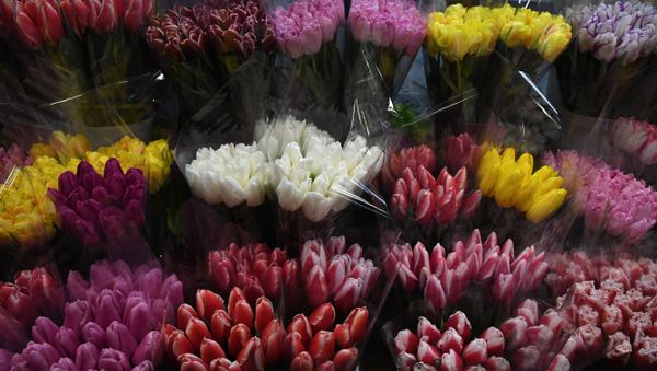 Продажа цветов в канун 8 марта в Симферополе