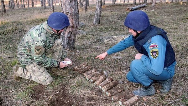 Обезвреживание территории в Севастополе