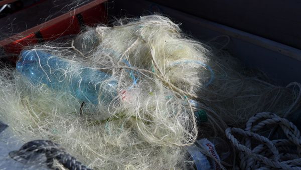 Браконьерские сети, которые достали из моря пограничники