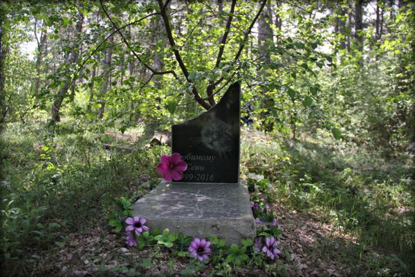 Памятник на могиле питомца на кладбище домашних животных в Симферополе