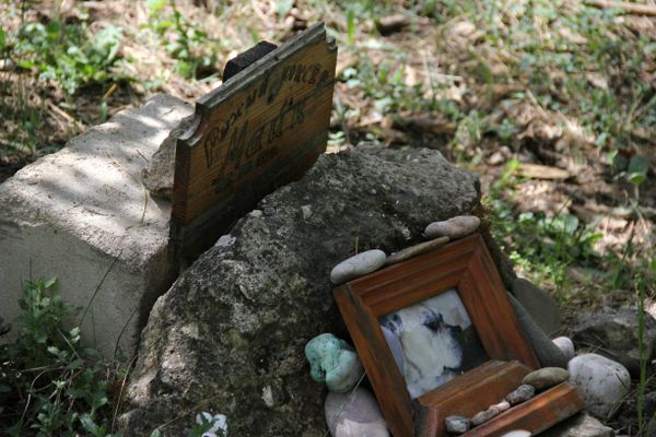 Импровизированное надгробие и фото на могиле питомца на кладбище домашних животных в Симферополе