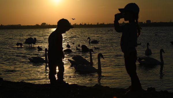 Закат на озере по дороге Симферополь-Евпатория, где круглогодично живут лебеди