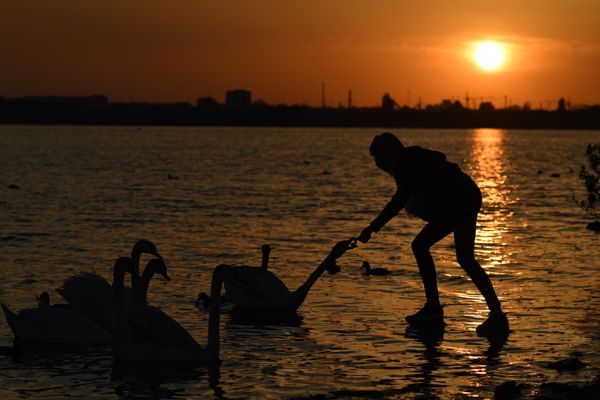 Закат на озере по дороге Симферополь-Евпатория, где круглогодично живут лебеди