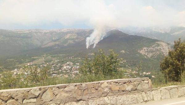 Тушение пожара в Ялтинском горно-лесном заповеднике
