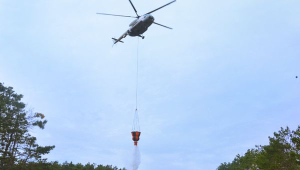 Тушение пожара в Ялтинском горно-лесном заповеднике