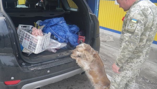 Украинец пытался провезти в Крым охотничьи патроны