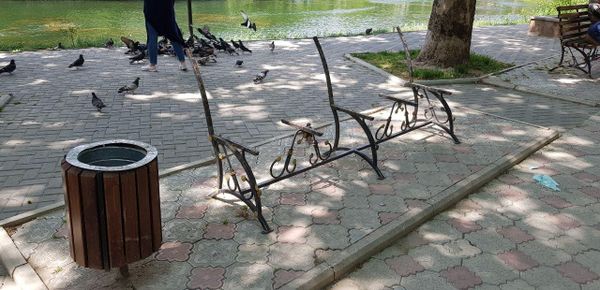 В парке имени Гагарина в Симферополе неизвестные сломали новые скамейки В парке имени Гагарина в Симферополе неизвестные сломали новые скамейки