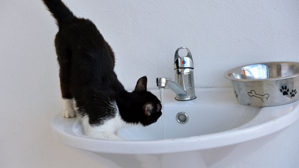 Вода Вода