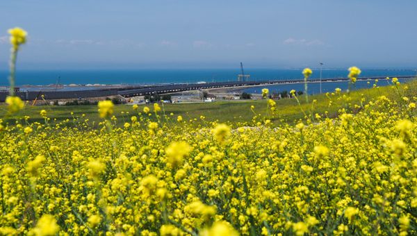 Начало автомобильного движения по Крымскому мосту
