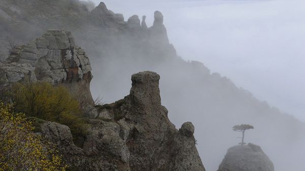 Туман в горах Крыма