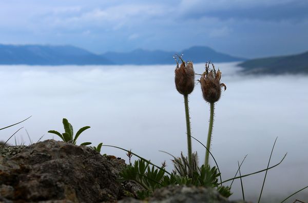 В горах Крыма